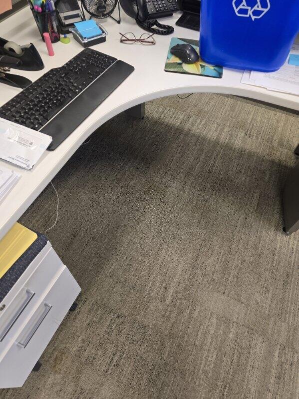 Office Desk Carpet - After Clean 1