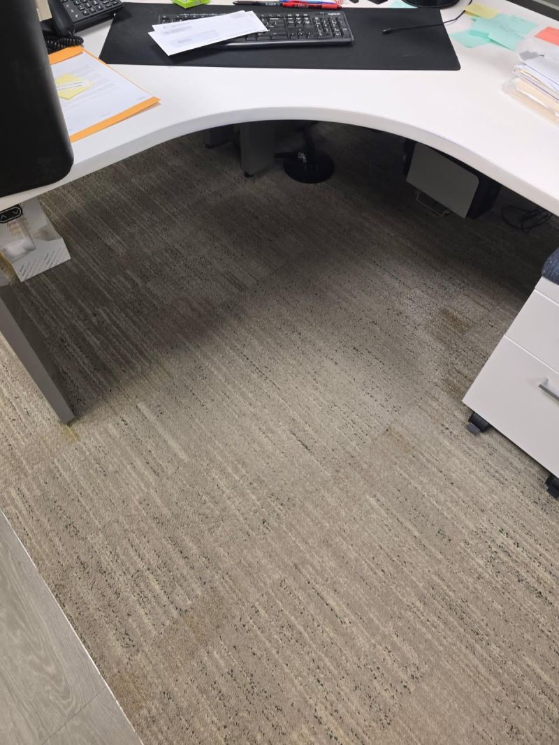 Office Desk Carpet - After Clean