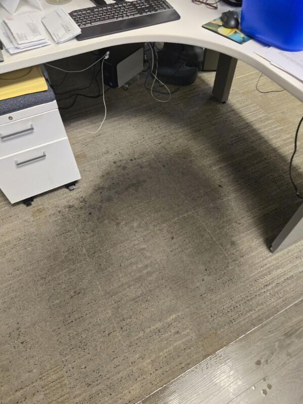 Office Desk Carpet - Before Clean 1